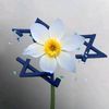 imam.mahdi.12thman
