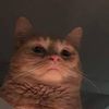 anadhdgoober