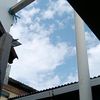 wong87_