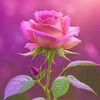 lu.chaw710
