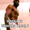 asadepp4