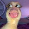 tyckhen