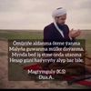 elyas9482