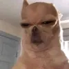 mthibtcaideoj04