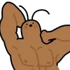 dzozb3