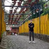 nguyen..haidang
