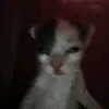 _._._.._..._..._.._._._