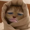 trnthnh.hng