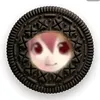 itz_dashhhhhh