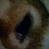 darkblacksun.light