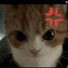 itshanani123