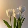 love_pisang