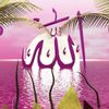 elnur.8625