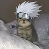 hungmai_6