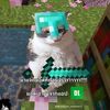 user71127123761165