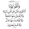 user8077404280610