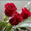 muskan.naaz10