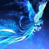 qun.dng33