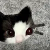 sieunhanhongg00