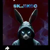sk_jikoo
