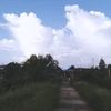 hendranvlfgtok