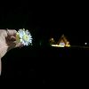 abdullayeva_3223