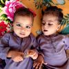 sajidali6209