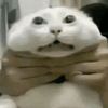 ndaww_cintamu