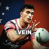 vein.nz