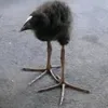 aaaaaaaaaaaaajdnd