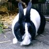 lisabalkenhol7