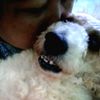 wai.paing37