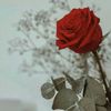 mar_iam620