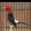 marsam.ma