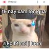 trung.ng267