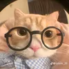 nguyentrankimmy