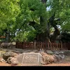 duy.dng.nguyn68