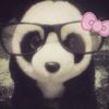 izzi.com16