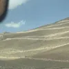safi___006