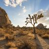 genx69mojavedesert