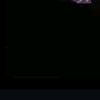beety_i