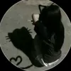 nhil_on