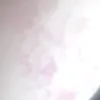 lorinzz.1