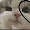 clarissa_758