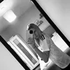 phoebejeebiesxx