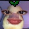 zydnptrhy_