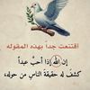 user5920519812074