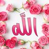 umerabdulrahman27