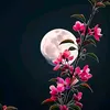 a9272505