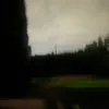 vvvvv43361